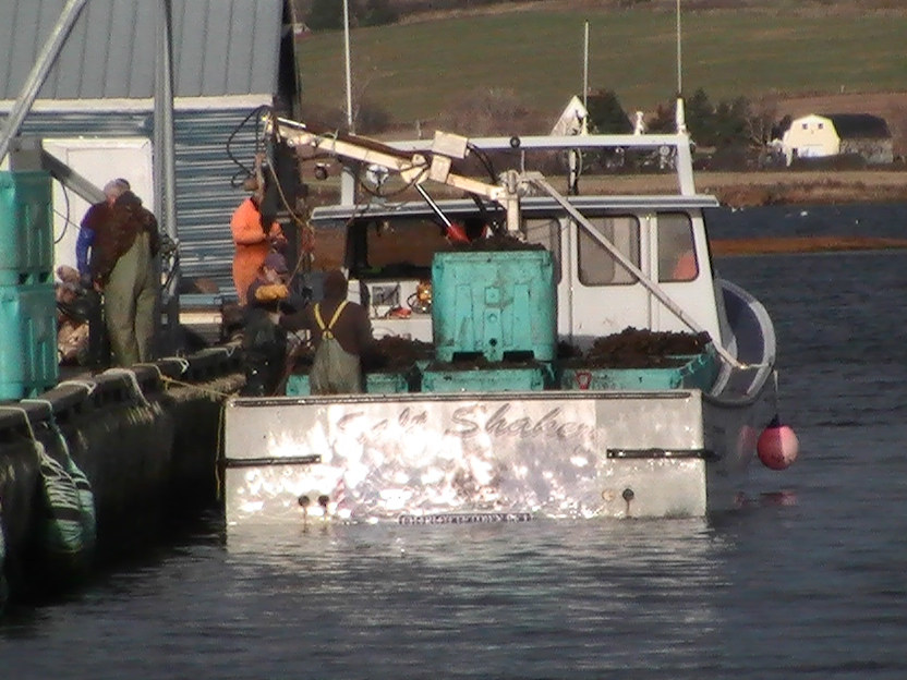 offloading 2.JPG