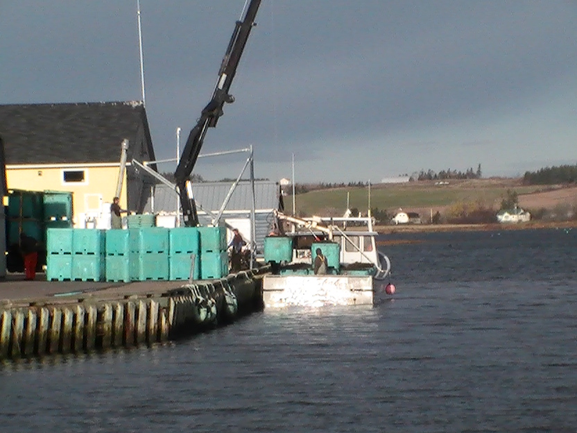offloading 3.JPG