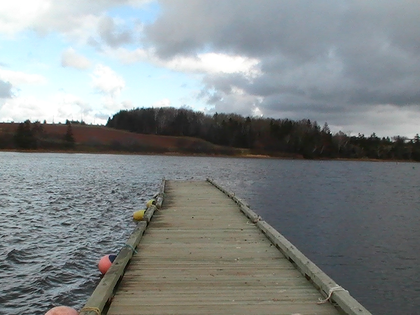 floating dock.JPG