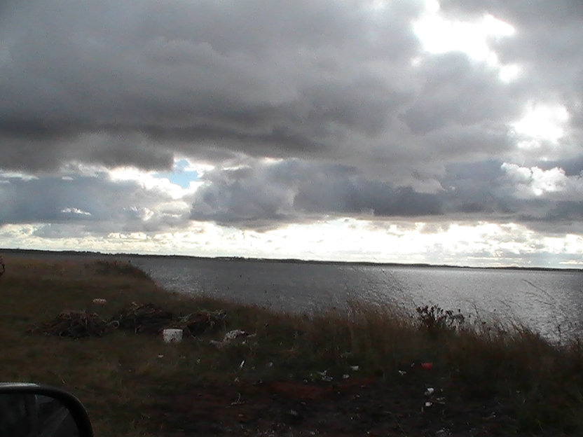 mussel bay.JPG