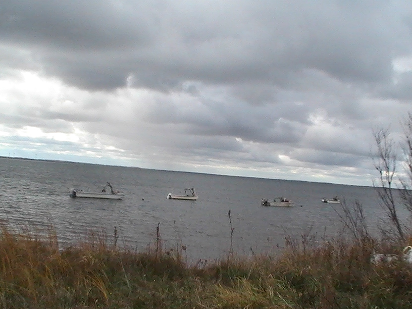 mussel bay with boat 2.JPG